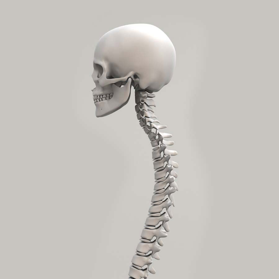 CBP Poor Posture Correction in Cumming GA