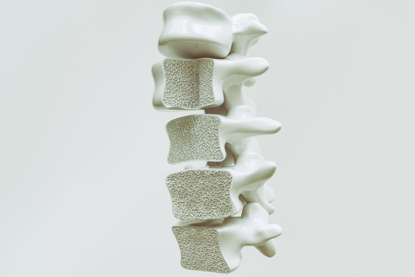Better Spine