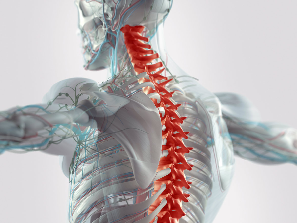 Spinal Alignment through Chiropractic BioPhysics in Cumming GA