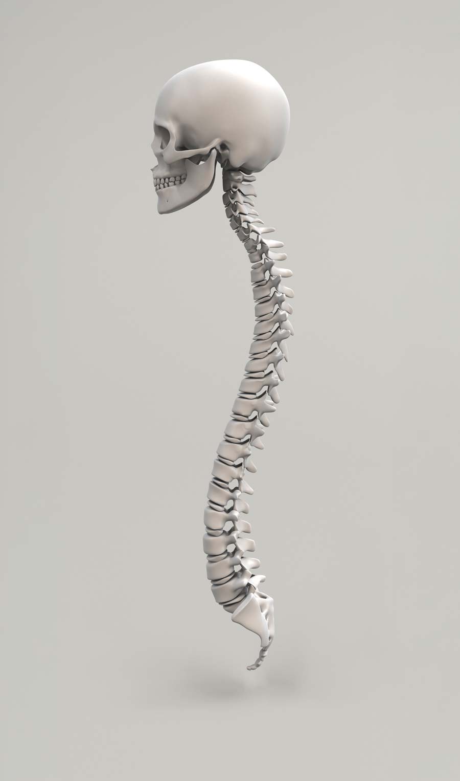 spine-doctor-cumming