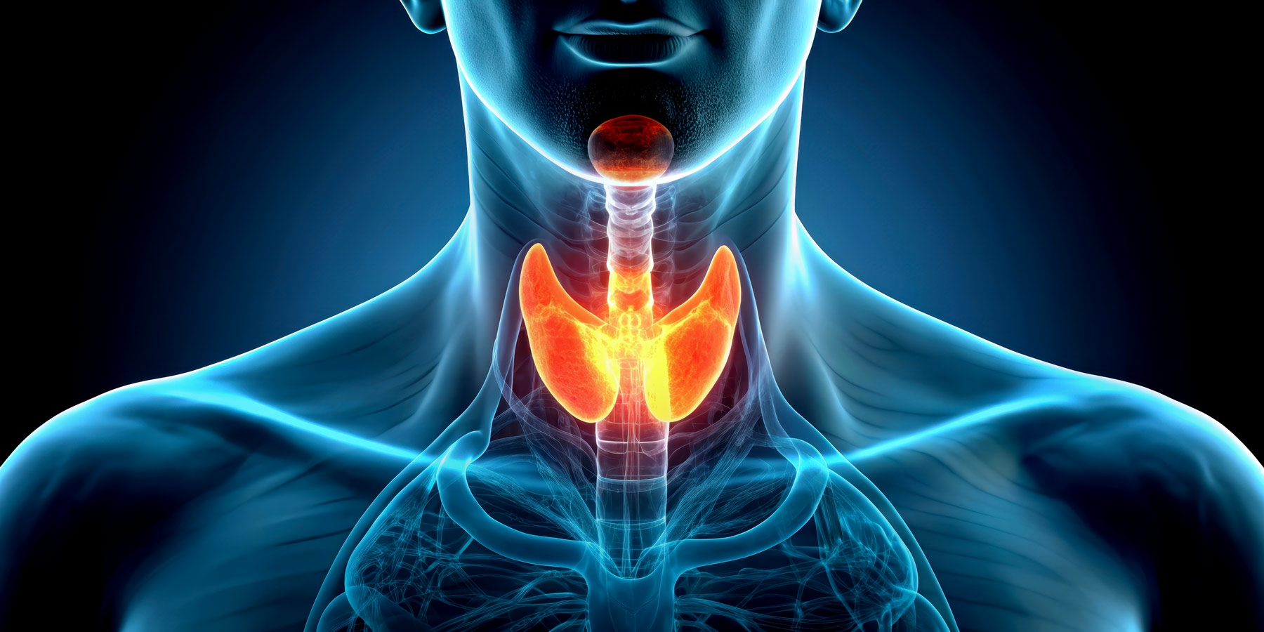 Natural Thyroid Health and Treatment in Cumming GA